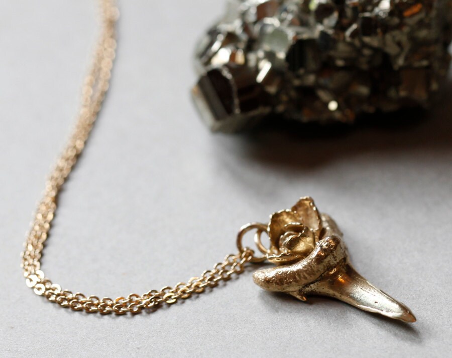 Brass shark tooth with rose